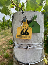 2023 Cuvée Nessa Blanc de Blancs